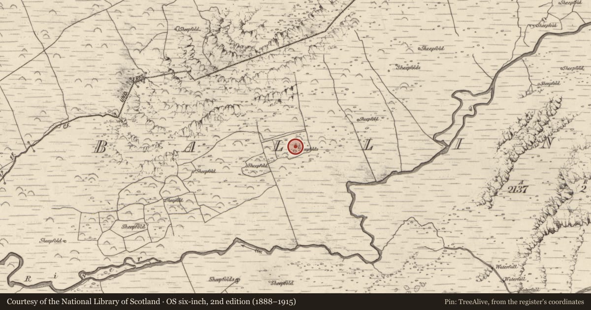 Ordnance Survey six-inch map, 2nd edition (1888–1915) covering the location of Enclosure, Baile An Lochaigh, County Kerry, with a pin at the register's coordinates