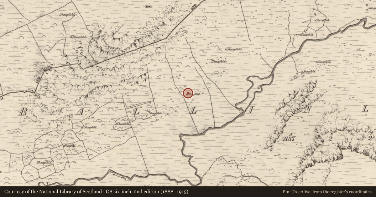Ordnance Survey six-inch map, 2nd edition (1888–1915) covering the location of Hut site, Baile An Lochaigh, County Kerry, with a pin at the register's coordinates