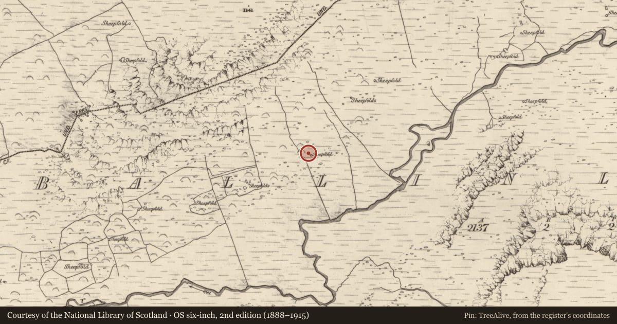 Ordnance Survey six-inch map, 2nd edition (1888–1915) covering the location of Hut site, Baile An Lochaigh, County Kerry, with a pin at the register's coordinates