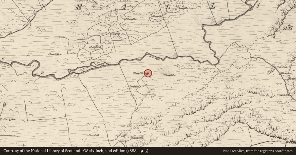 Ordnance Survey six-inch map, 2nd edition (1888–1915) covering the location of Hut site, Baile An Lochaigh, County Kerry, with a pin at the register's coordinates
