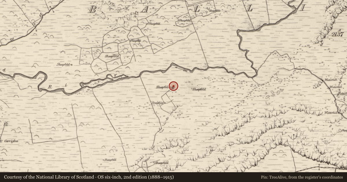Ordnance Survey six-inch map, 2nd edition (1888–1915) covering the location of Hut site, Baile An Lochaigh, County Kerry, with a pin at the register's coordinates