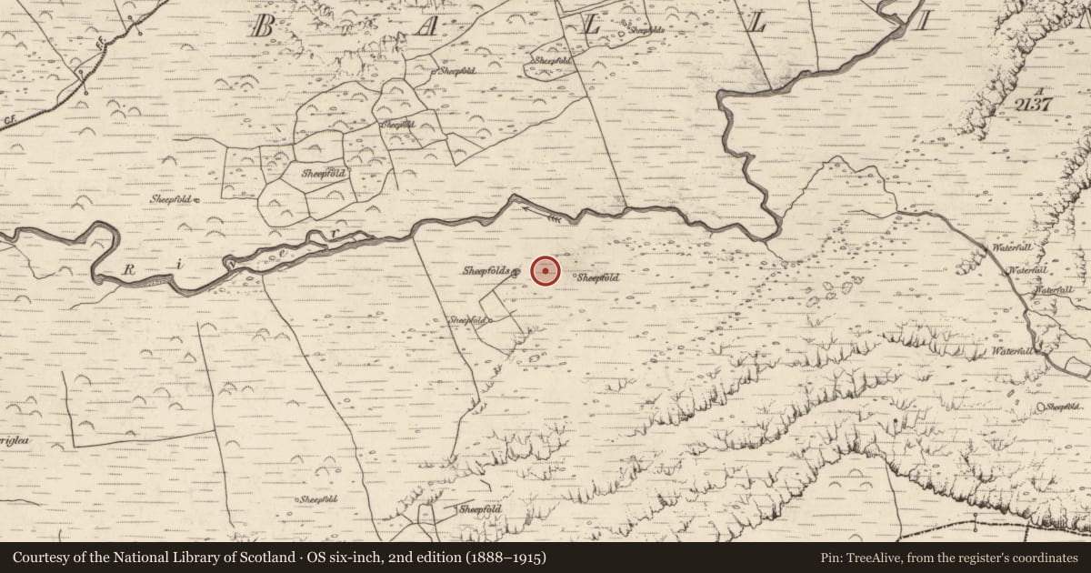 Ordnance Survey six-inch map, 2nd edition (1888–1915) covering the location of Hut site, Baile An Lochaigh, County Kerry, with a pin at the register's coordinates