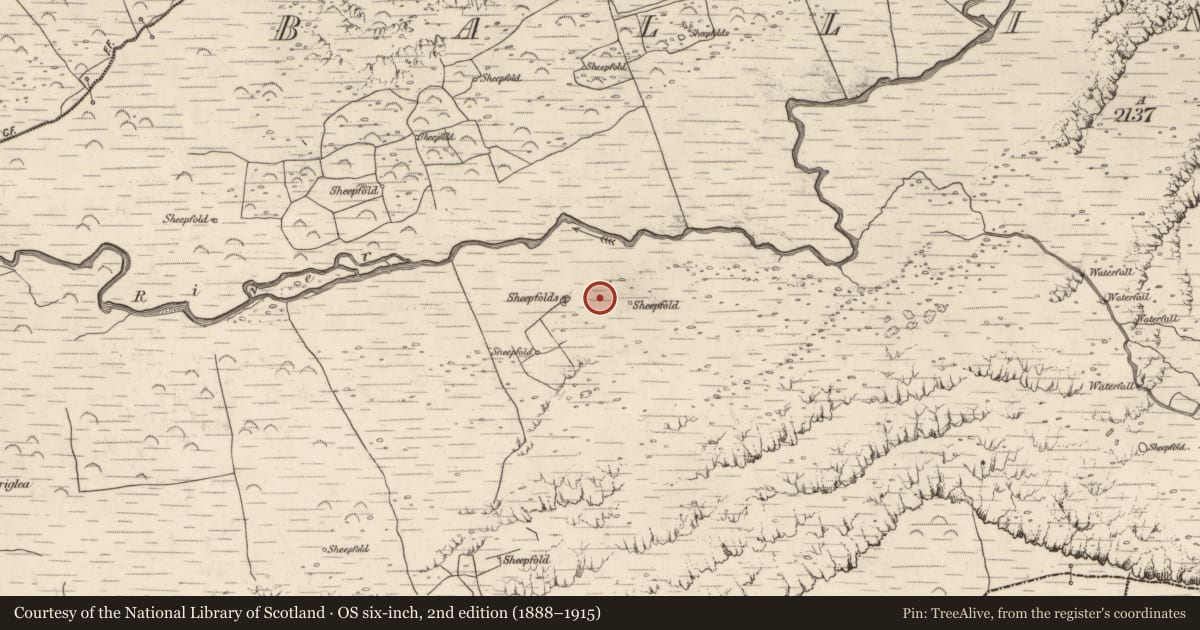 Ordnance Survey six-inch map, 2nd edition (1888–1915) covering the location of Hut site, Baile An Lochaigh, County Kerry, with a pin at the register's coordinates