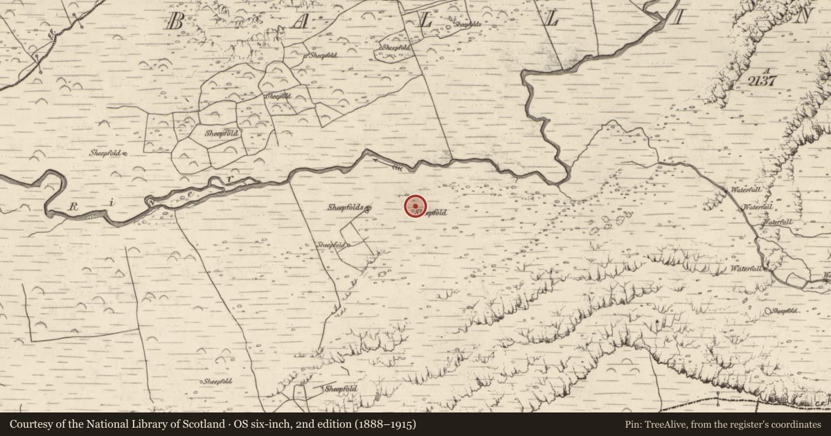 Ordnance Survey six-inch map, 2nd edition (1888–1915) covering the location of Hut site, Baile An Lochaigh, County Kerry, with a pin at the register's coordinates