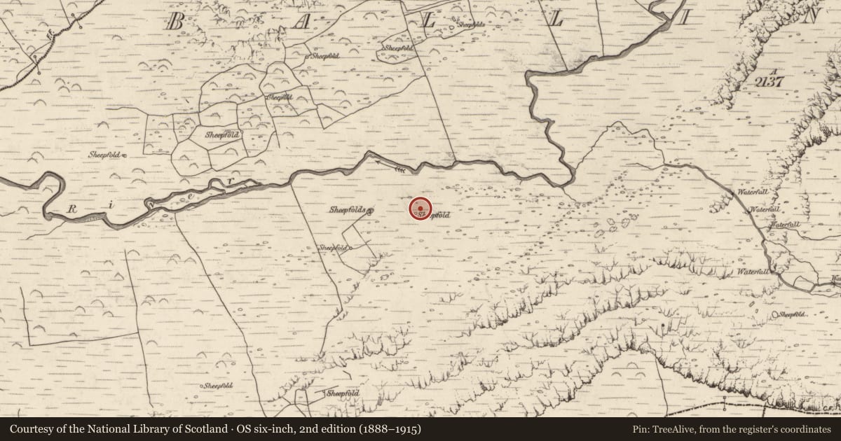 Ordnance Survey six-inch map, 2nd edition (1888–1915) covering the location of Hut site, Baile An Lochaigh, County Kerry, with a pin at the register's coordinates