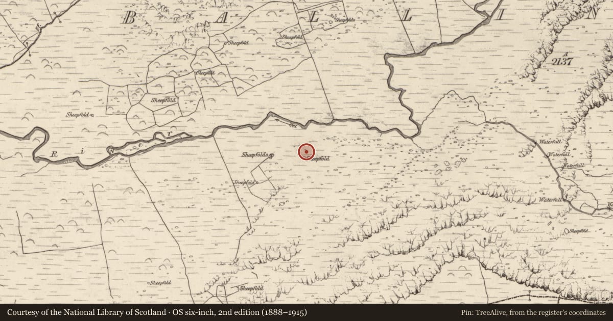 Ordnance Survey six-inch map, 2nd edition (1888–1915) covering the location of Enclosure, Baile An Lochaigh, County Kerry, with a pin at the register's coordinates