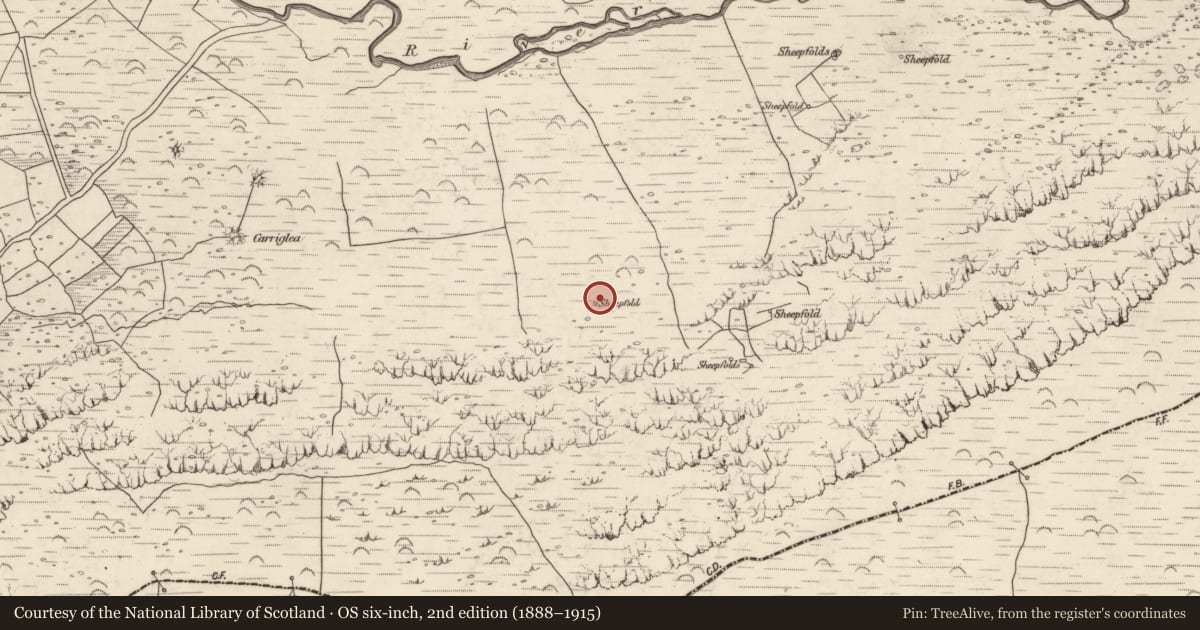 Ordnance Survey six-inch map, 2nd edition (1888–1915) covering the location of Hut site, Baile An Lochaigh, County Kerry, with a pin at the register's coordinates