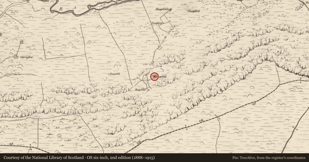 Ordnance Survey six-inch map, 2nd edition (1888–1915) covering the location of Field system, Baile An Lochaigh, County Kerry, with a pin at the register's coordinates