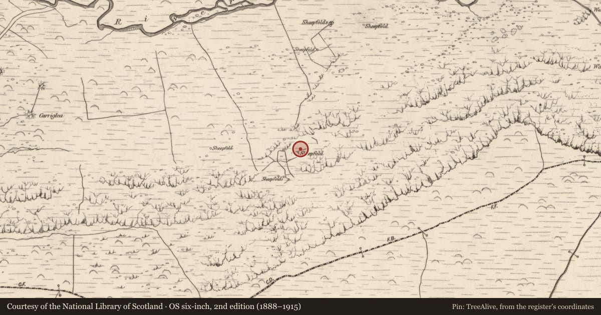 Ordnance Survey six-inch map, 2nd edition (1888–1915) covering the location of Hut site, Baile An Lochaigh, County Kerry, with a pin at the register's coordinates