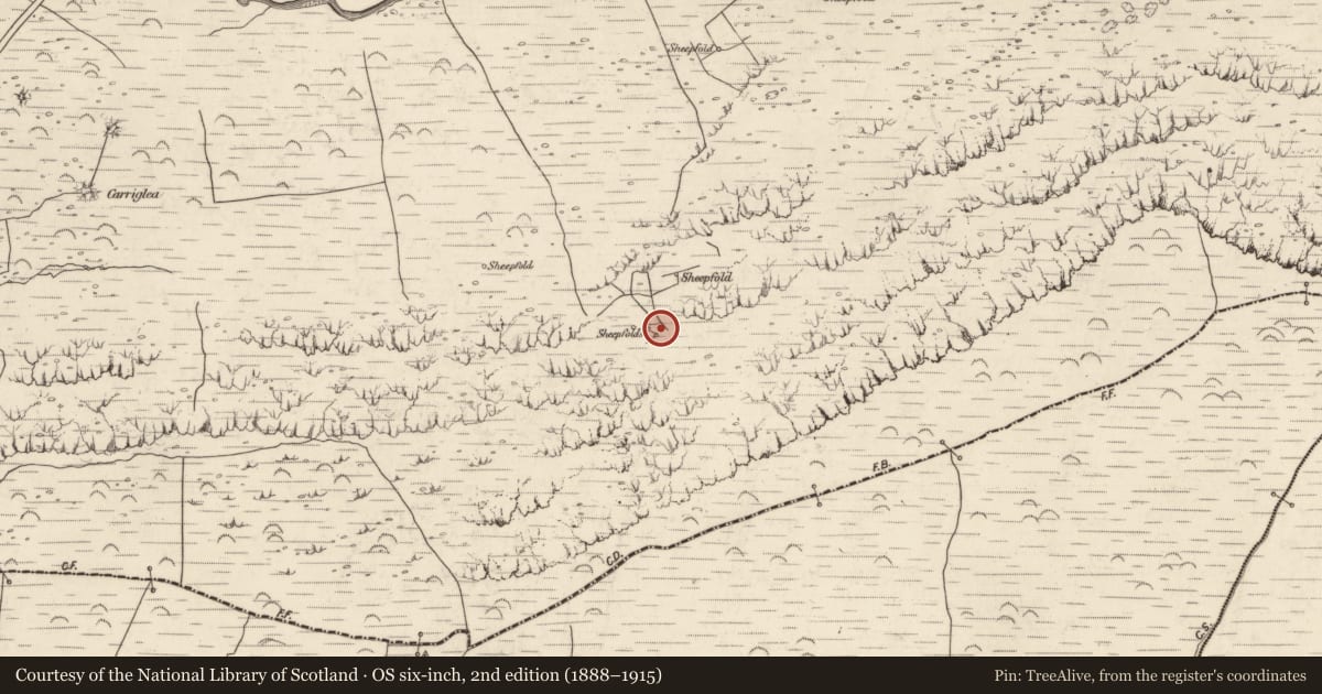 Ordnance Survey six-inch map, 2nd edition (1888–1915) covering the location of Field boundary, Baile An Lochaigh, County Kerry, with a pin at the register's coordinates