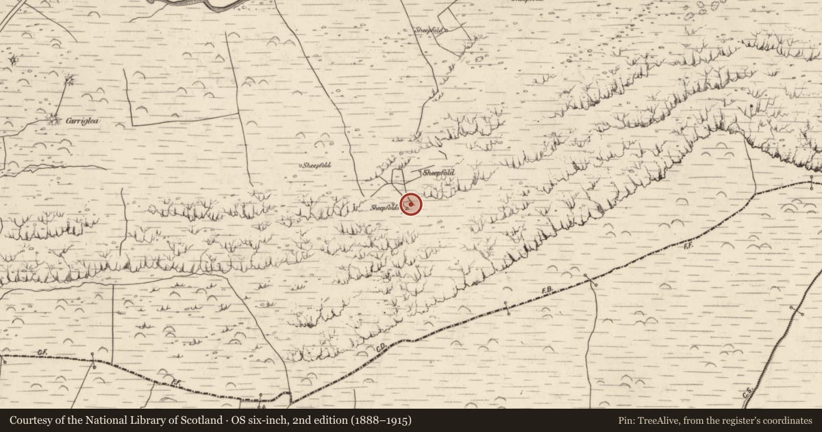 Ordnance Survey six-inch map, 2nd edition (1888–1915) covering the location of Hut site, Baile An Lochaigh, County Kerry, with a pin at the register's coordinates