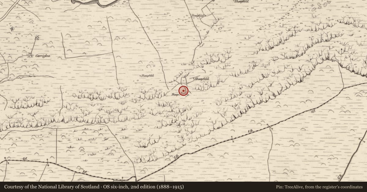 Ordnance Survey six-inch map, 2nd edition (1888–1915) covering the location of Hut site, Baile An Lochaigh, County Kerry, with a pin at the register's coordinates