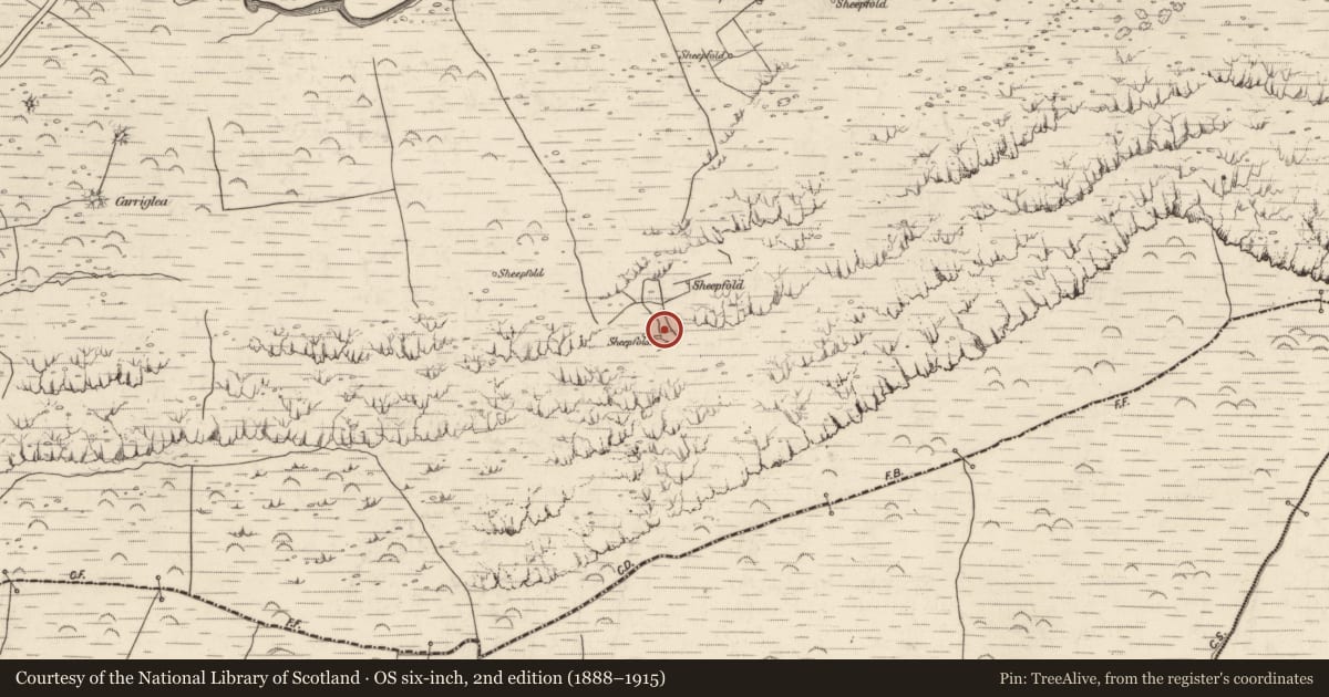 Ordnance Survey six-inch map, 2nd edition (1888–1915) covering the location of Hut site, Baile An Lochaigh, County Kerry, with a pin at the register's coordinates