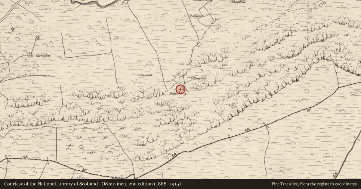 Ordnance Survey six-inch map, 2nd edition (1888–1915) covering the location of Hut site, Baile An Lochaigh, County Kerry, with a pin at the register's coordinates