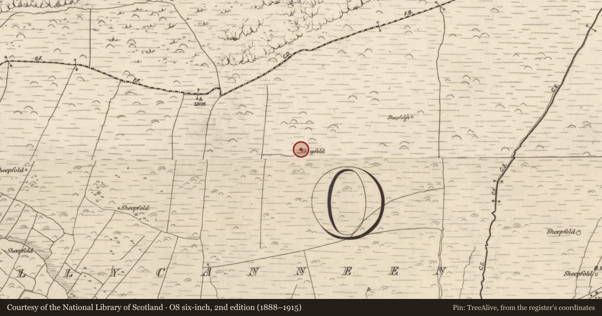 Ordnance Survey six-inch map, 2nd edition (1888–1915) covering the location of Hut site, Baile Cainín, County Kerry, with a pin at the register's coordinates