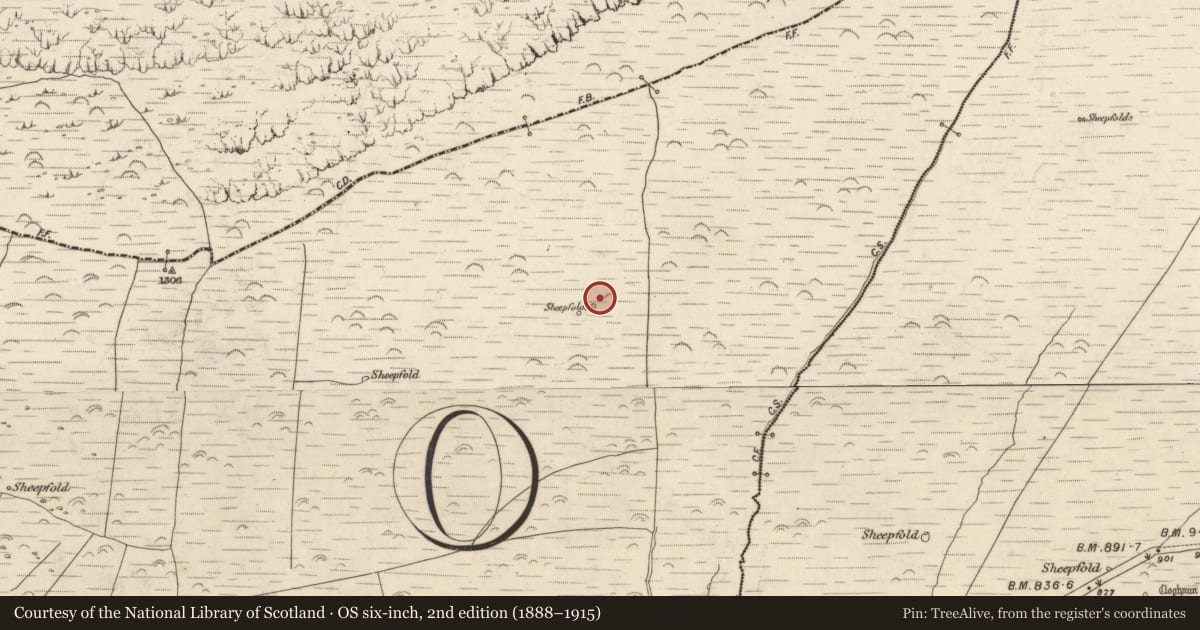 Ordnance Survey six-inch map, 2nd edition (1888–1915) covering the location of Hut site, Baile Cainín, County Kerry, with a pin at the register's coordinates