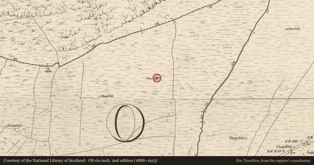 Ordnance Survey six-inch map, 2nd edition (1888–1915) covering the location of Hut site, Baile Cainín, County Kerry, with a pin at the register's coordinates