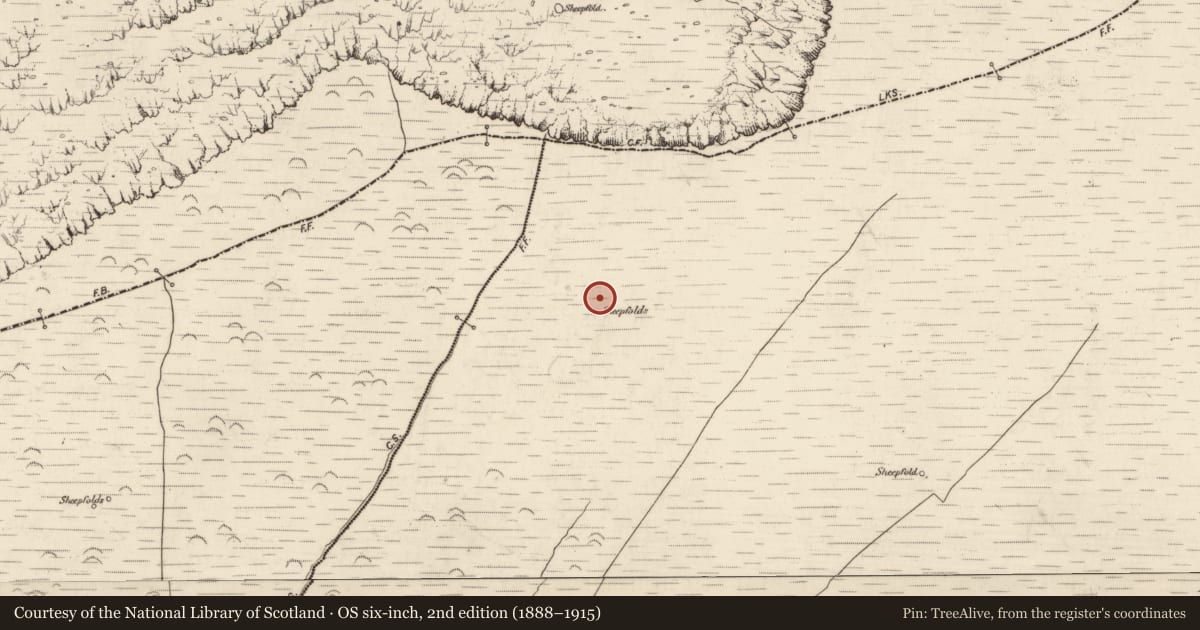 Ordnance Survey six-inch map, 2nd edition (1888–1915) covering the location of Field system, Na Gleannta Thuaidh, County Kerry, with a pin at the register's coordinates