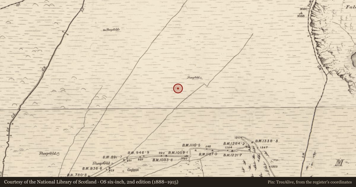 Ordnance Survey six-inch map, 2nd edition (1888–1915) covering the location of Field boundary, Na Gleannta Thuaidh, County Kerry, with a pin at the register's coordinates