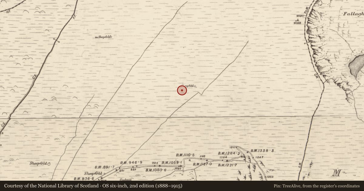 Ordnance Survey six-inch map, 2nd edition (1888–1915) covering the location of Hut site, Na Gleannta Thuaidh, County Kerry, with a pin at the register's coordinates