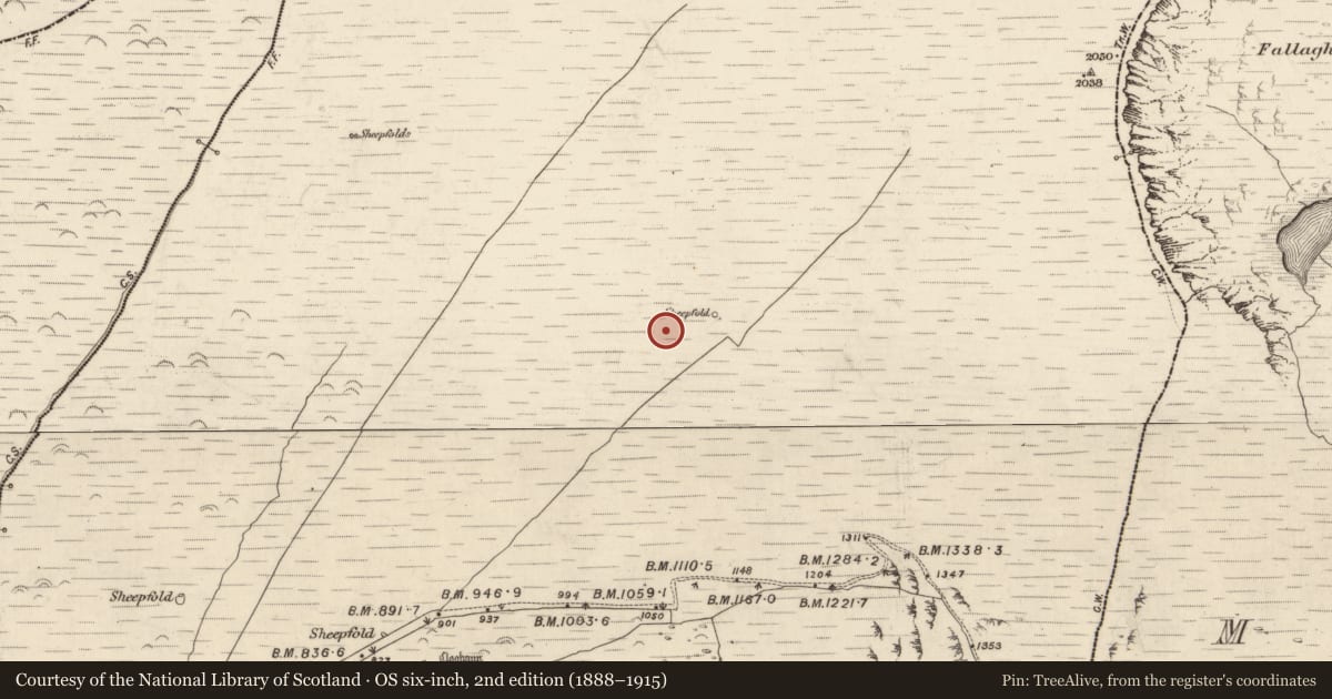 Ordnance Survey six-inch map, 2nd edition (1888–1915) covering the location of Hut site, Na Gleannta Thuaidh, County Kerry, with a pin at the register's coordinates