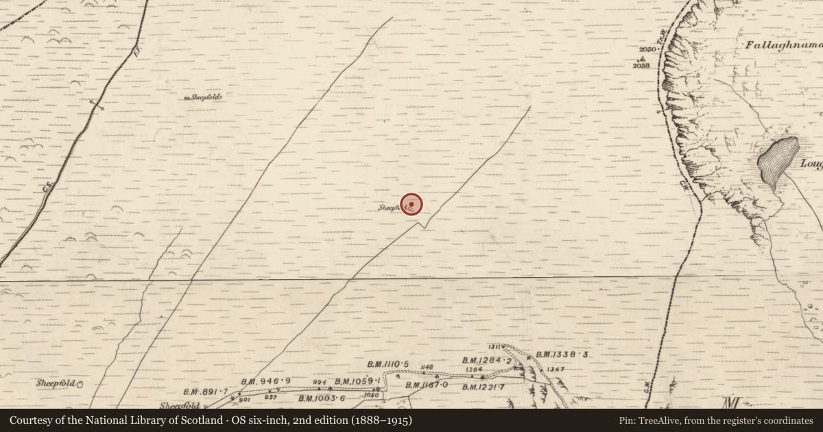Ordnance Survey six-inch map, 2nd edition (1888–1915) covering the location of Hut site, Na Gleannta Thuaidh, County Kerry, with a pin at the register's coordinates
