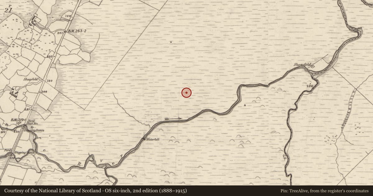 Ordnance Survey six-inch map, 2nd edition (1888–1915) covering the location of Field system, Gleann Seanchoirp, County Kerry, with a pin at the register's coordinates