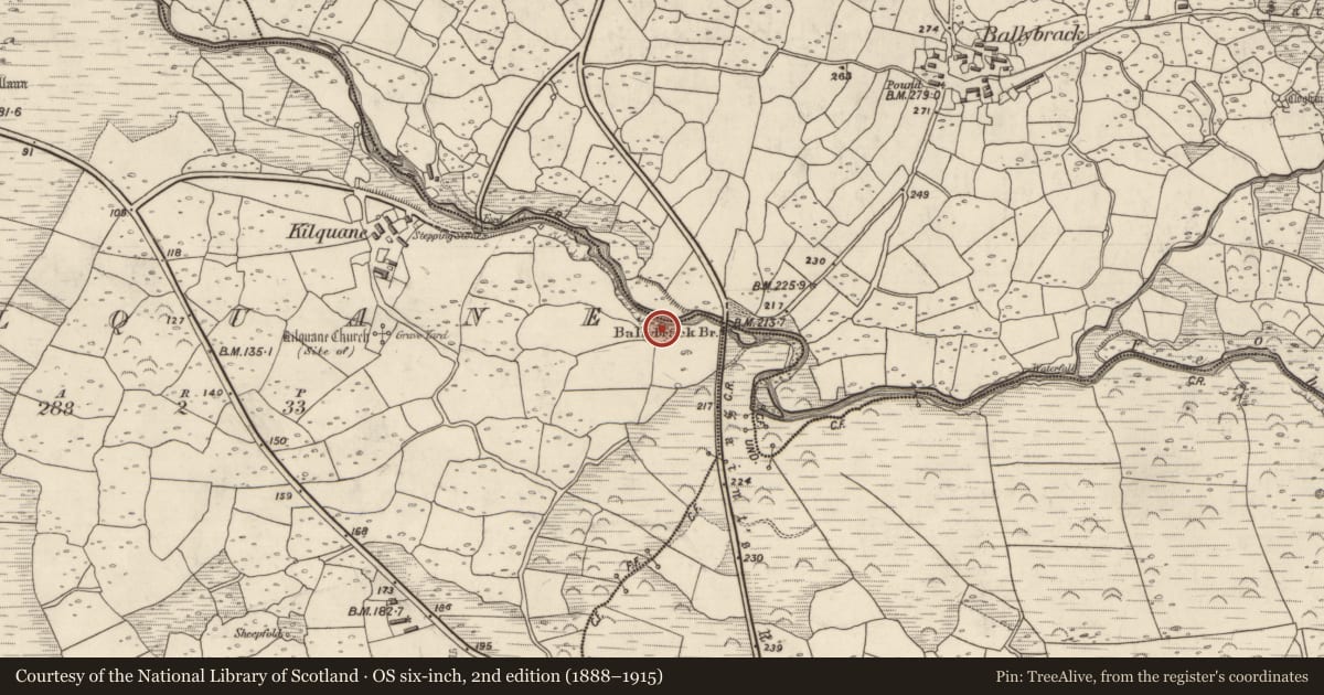 Ordnance Survey six-inch map, 2nd edition (1888–1915) covering the location of Ringfort - rath, Cill Chuáin, County Kerry, with a pin at the register's coordinates