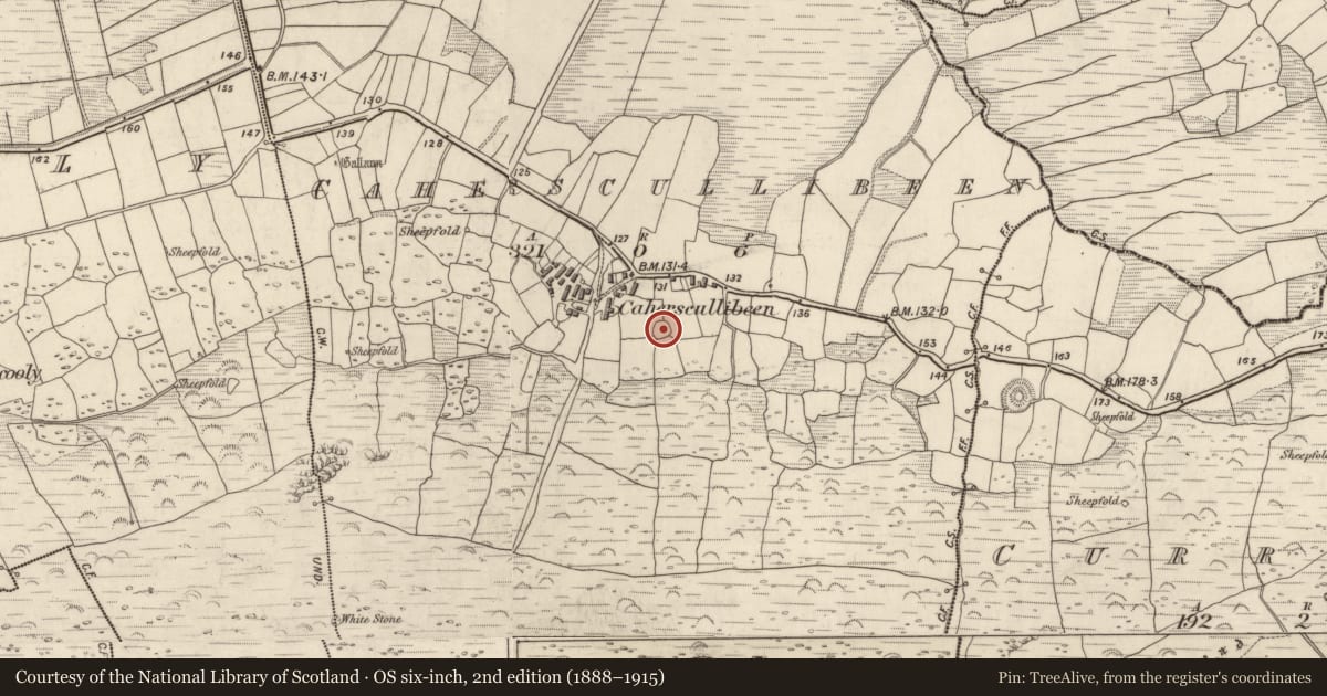 Ordnance Survey six-inch map, 2nd edition (1888–1915) covering the location of Clochan, Cathair Scoilbín, County Kerry, with a pin at the register's coordinates