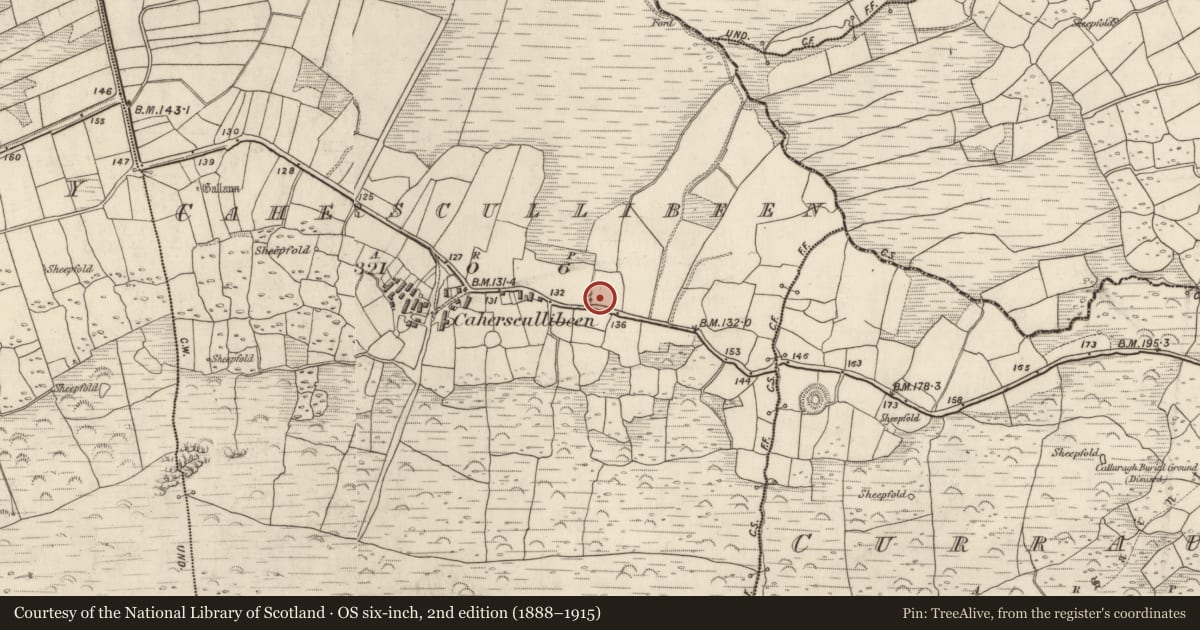 Ordnance Survey six-inch map, 2nd edition (1888–1915) covering the location of Ritual site - holy well, Cathair Scoilbín, County Kerry, with a pin at the register's coordinates