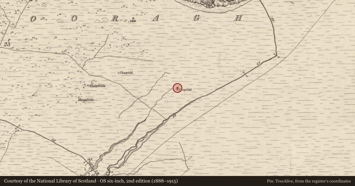 Ordnance Survey six-inch map, 2nd edition (1888–1915) covering the location of Hut site, Baile Na Bhfionnúrach, County Kerry, with a pin at the register's coordinates