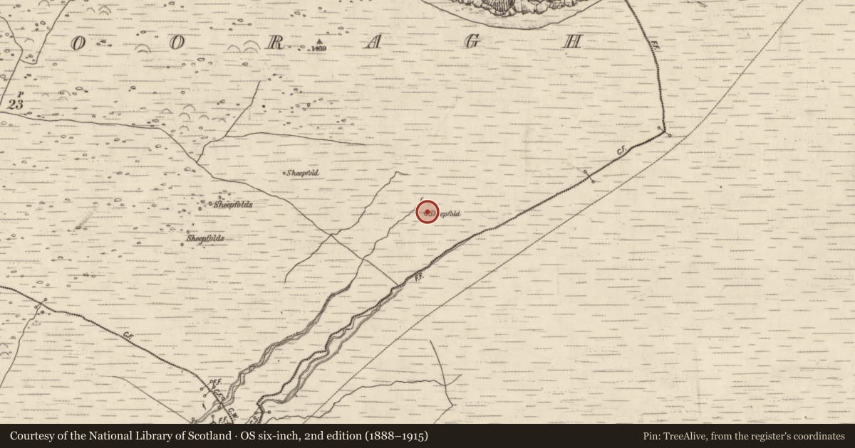 Ordnance Survey six-inch map, 2nd edition (1888–1915) covering the location of Field system, Baile Na Bhfionnúrach, County Kerry, with a pin at the register's coordinates