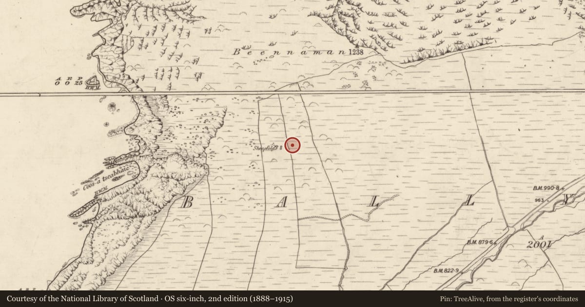 Ordnance Survey six-inch map, 2nd edition (1888–1915) covering the location of Hut site, Baile Na Habha (TC Cill Chuáin), County Kerry, with a pin at the register's coordinates