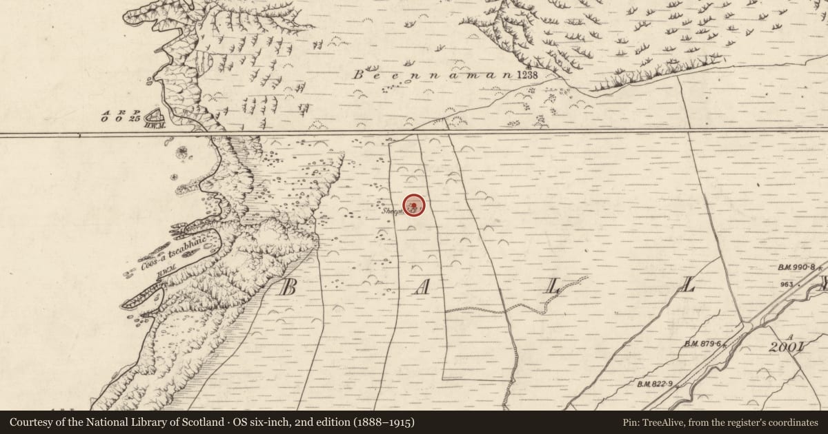 Ordnance Survey six-inch map, 2nd edition (1888–1915) covering the location of Enclosure, Baile Na Habha (TC Cill Chuáin), County Kerry, with a pin at the register's coordinates