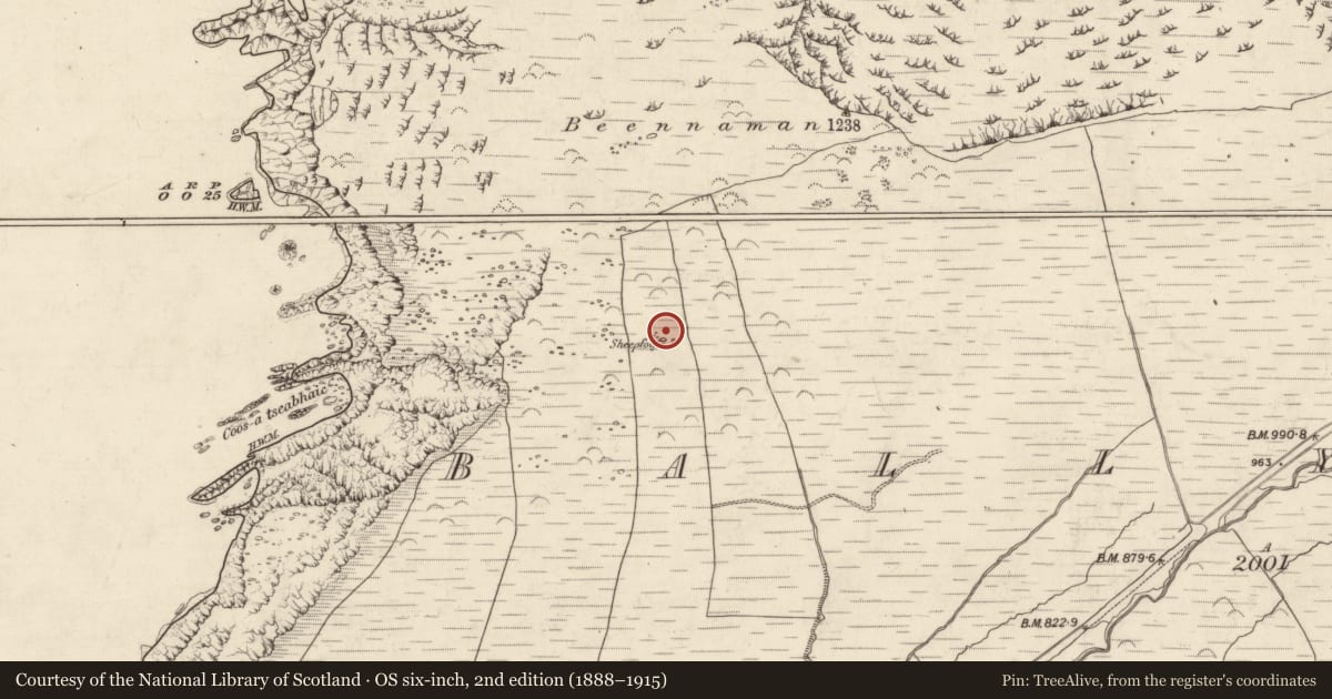 Ordnance Survey six-inch map, 2nd edition (1888–1915) covering the location of Hut site, Baile Na Habha (TC Cill Chuáin), County Kerry, with a pin at the register's coordinates