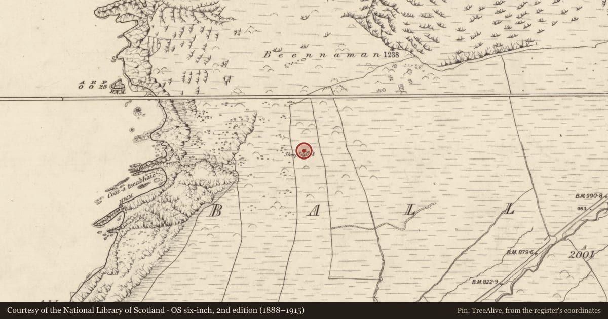 Ordnance Survey six-inch map, 2nd edition (1888–1915) covering the location of Hut site, Baile Na Habha (TC Cill Chuáin), County Kerry, with a pin at the register's coordinates