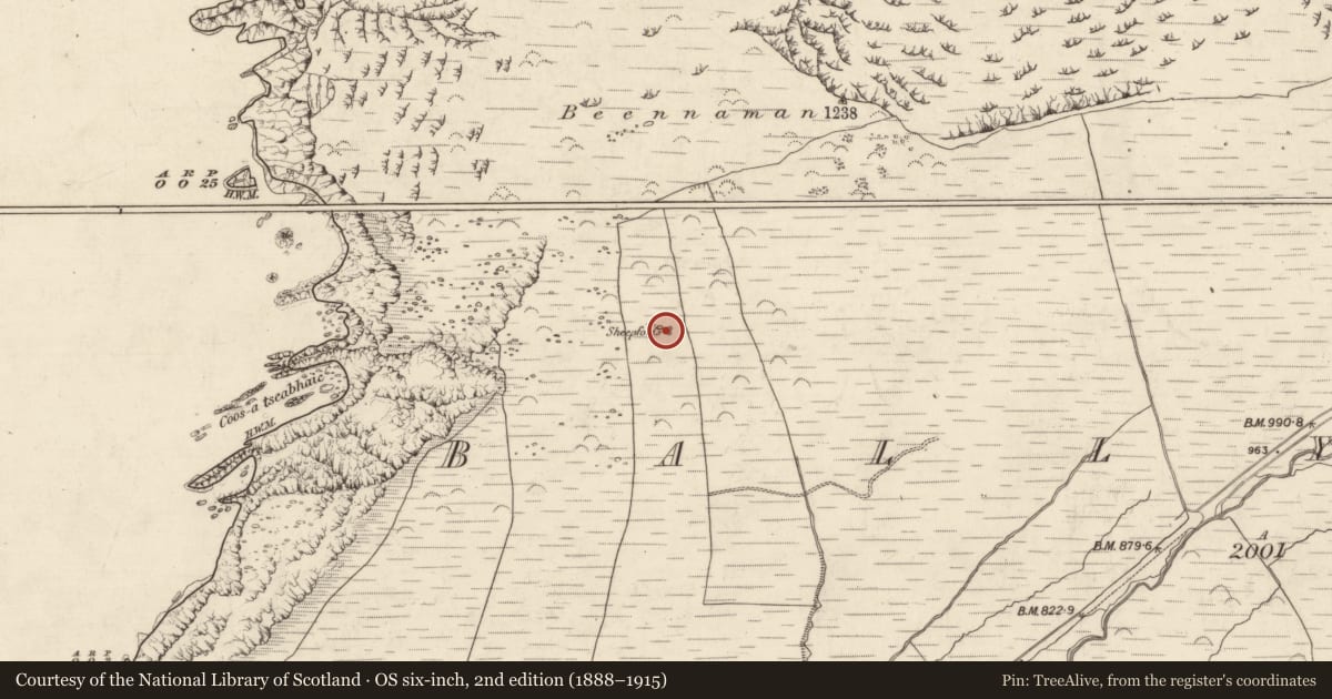 Ordnance Survey six-inch map, 2nd edition (1888–1915) covering the location of Hut site, Baile Na Habha (TC Cill Chuáin), County Kerry, with a pin at the register's coordinates