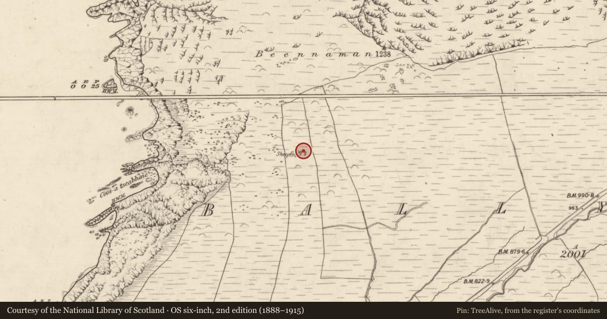 Ordnance Survey six-inch map, 2nd edition (1888–1915) covering the location of Hut site, Baile Na Habha (TC Cill Chuáin), County Kerry, with a pin at the register's coordinates