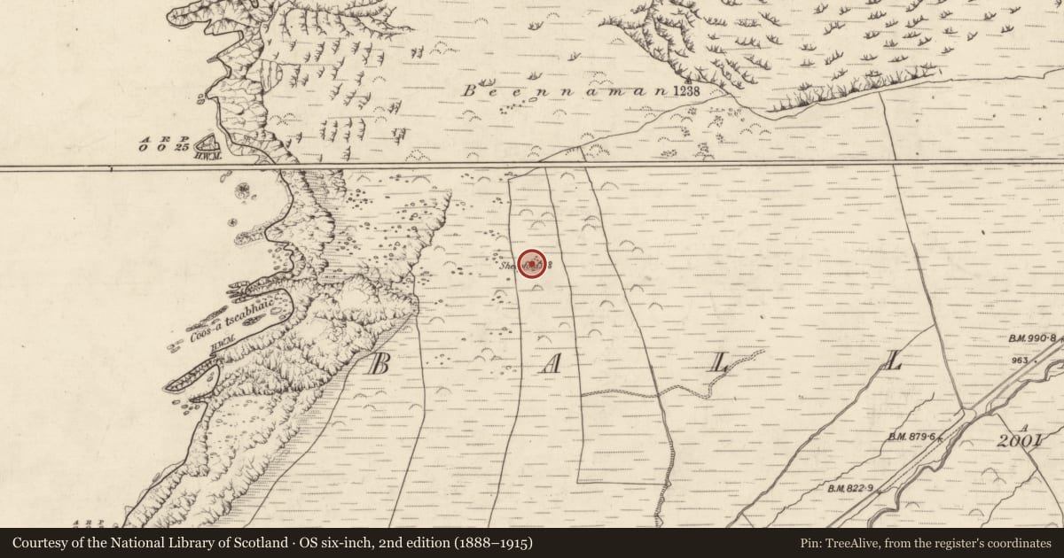 Ordnance Survey six-inch map, 2nd edition (1888–1915) covering the location of Hut site, Baile Na Habha (TC Cill Chuáin), County Kerry, with a pin at the register's coordinates