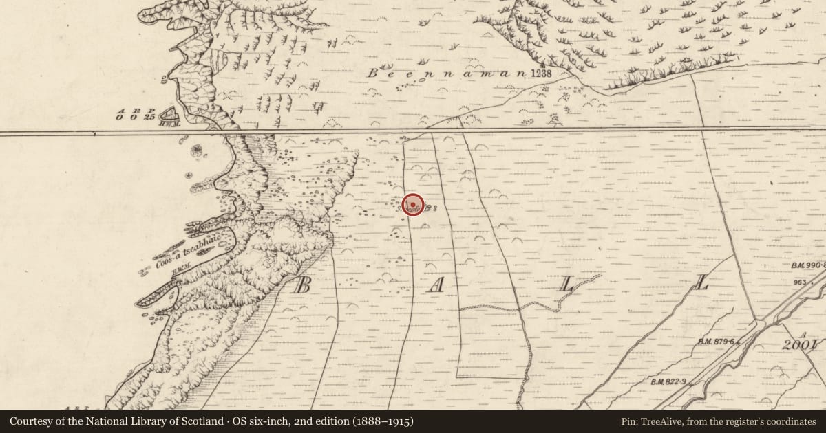 Ordnance Survey six-inch map, 2nd edition (1888–1915) covering the location of Hut site, Baile Na Habha (TC Cill Chuáin), County Kerry, with a pin at the register's coordinates