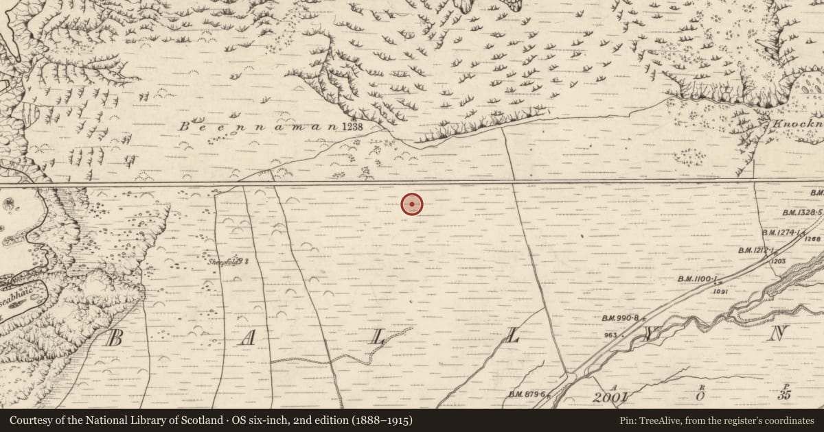 Ordnance Survey six-inch map, 2nd edition (1888–1915) covering the location of Hut site, Baile Na Habha (TC Cill Chuáin), County Kerry, with a pin at the register's coordinates