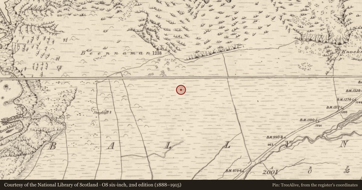 Ordnance Survey six-inch map, 2nd edition (1888–1915) covering the location of Hut site, Baile Na Habha (TC Cill Chuáin), County Kerry, with a pin at the register's coordinates