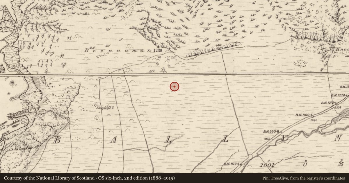 Ordnance Survey six-inch map, 2nd edition (1888–1915) covering the location of Hut site, Baile Na Habha (TC Cill Chuáin), County Kerry, with a pin at the register's coordinates