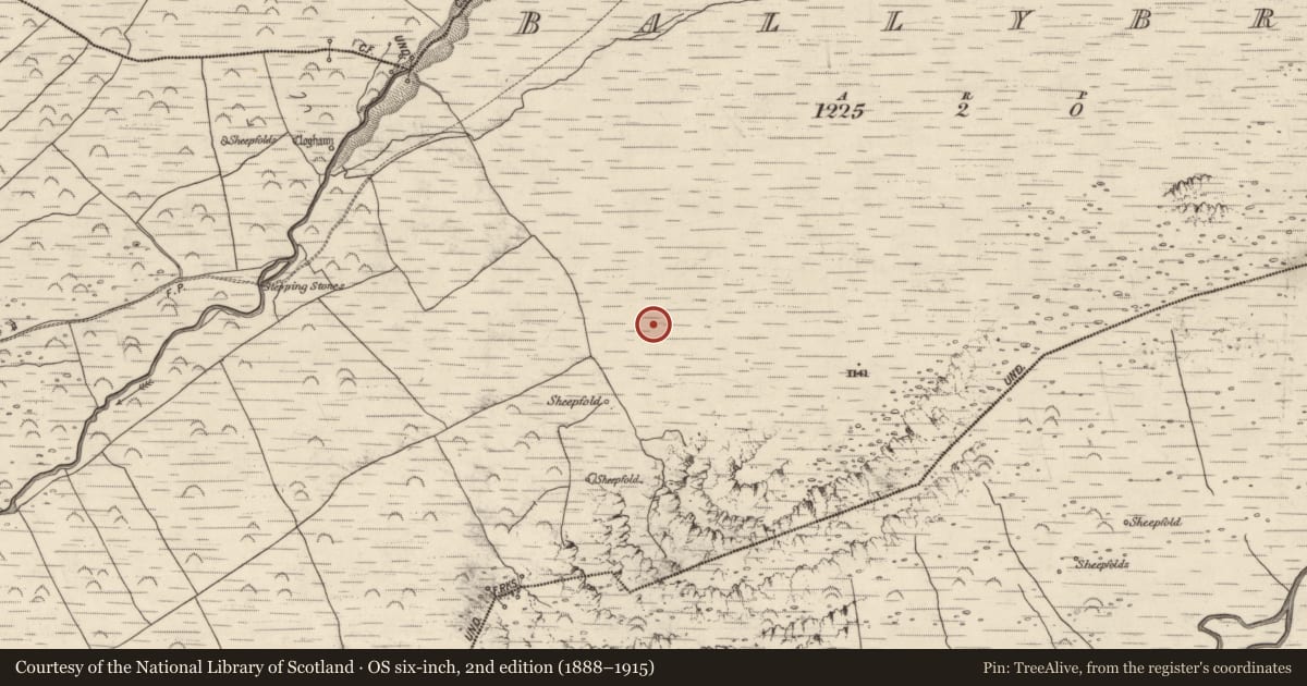 Ordnance Survey six-inch map, 2nd edition (1888–1915) covering the location of Megalithic structure, An Baile Breac, County Kerry, with a pin at the register's coordinates
