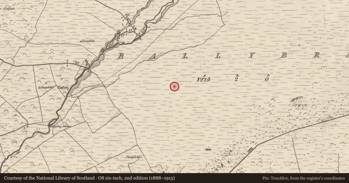 Ordnance Survey six-inch map, 2nd edition (1888–1915) covering the location of Field boundary, An Baile Breac, County Kerry, with a pin at the register's coordinates
