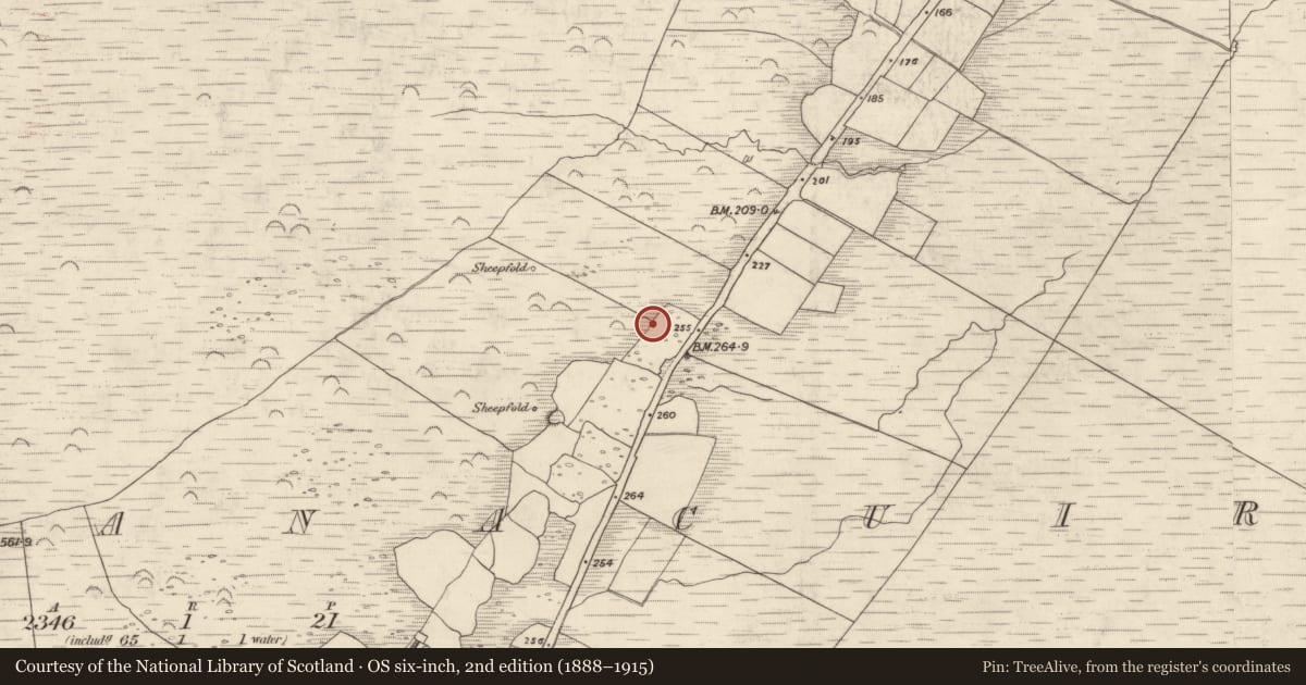 Ordnance Survey six-inch map, 2nd edition (1888–1915) covering the location of Fulacht fia, Gleann Seanchoirp, County Kerry, with a pin at the register's coordinates