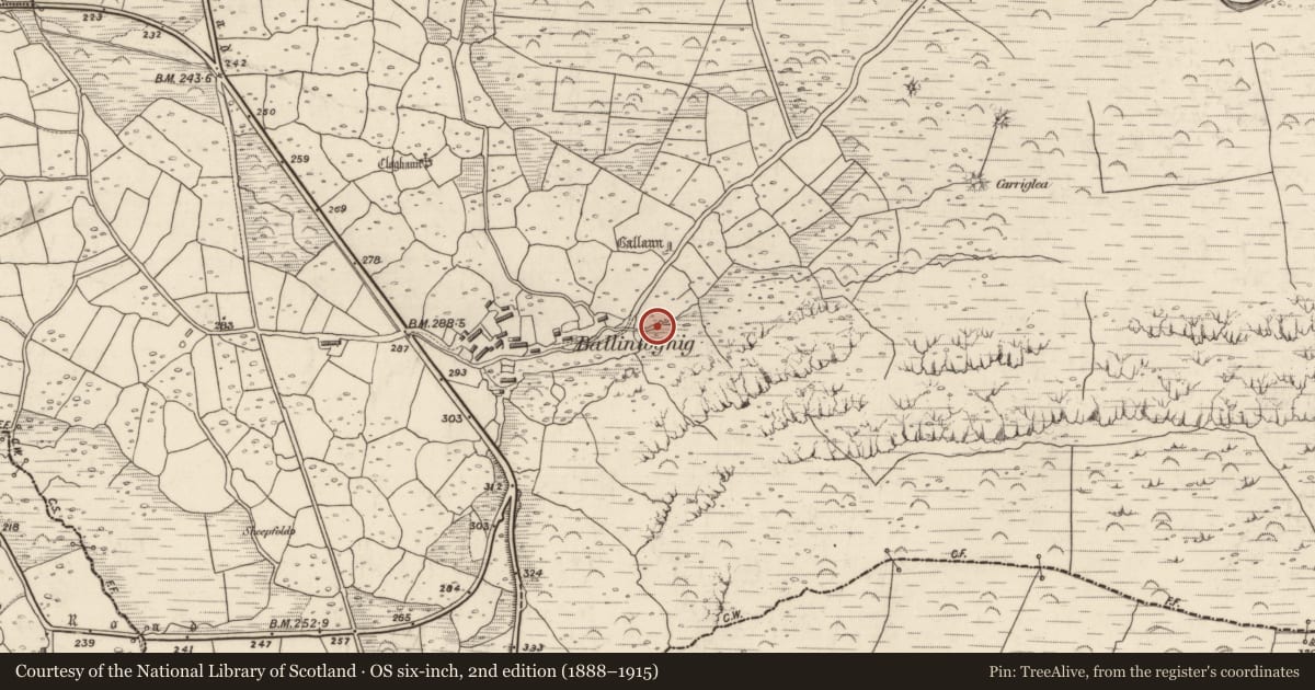 Ordnance Survey six-inch map, 2nd edition (1888–1915) covering the location of Fulacht fia, Baile An Lochaigh, County Kerry, with a pin at the register's coordinates