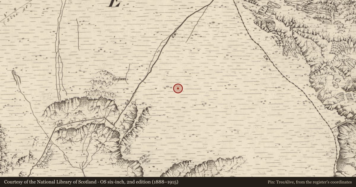 Ordnance Survey six-inch map, 2nd edition (1888–1915) covering the location of Hut site, Baile An Lochaigh, County Kerry, with a pin at the register's coordinates