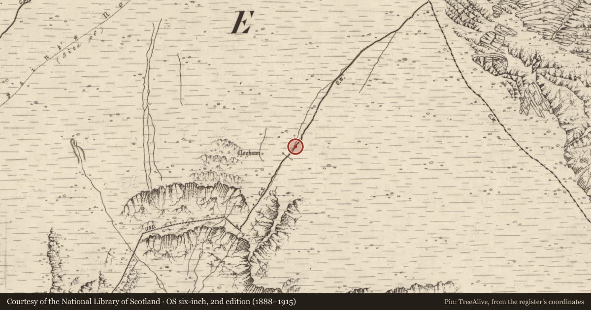 Ordnance Survey six-inch map, 2nd edition (1888–1915) covering the location of Hut site, Baile An Lochaigh, County Kerry, with a pin at the register's coordinates