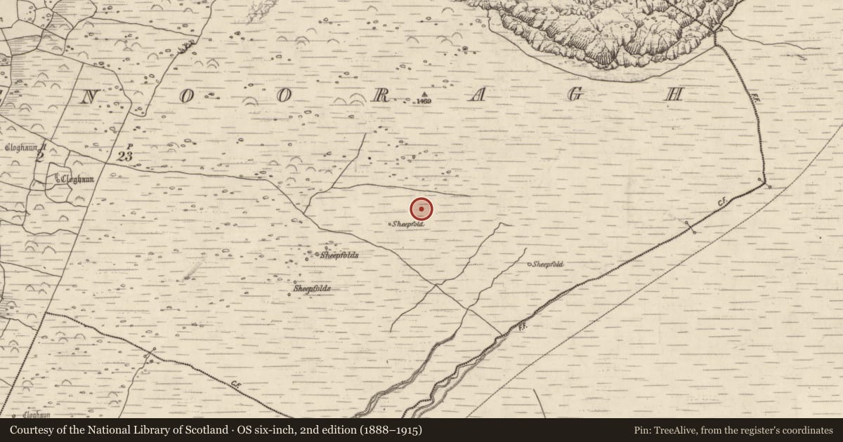 Ordnance Survey six-inch map, 2nd edition (1888–1915) covering the location of Hut site, Baile Na Bhfionnúrach, County Kerry, with a pin at the register's coordinates